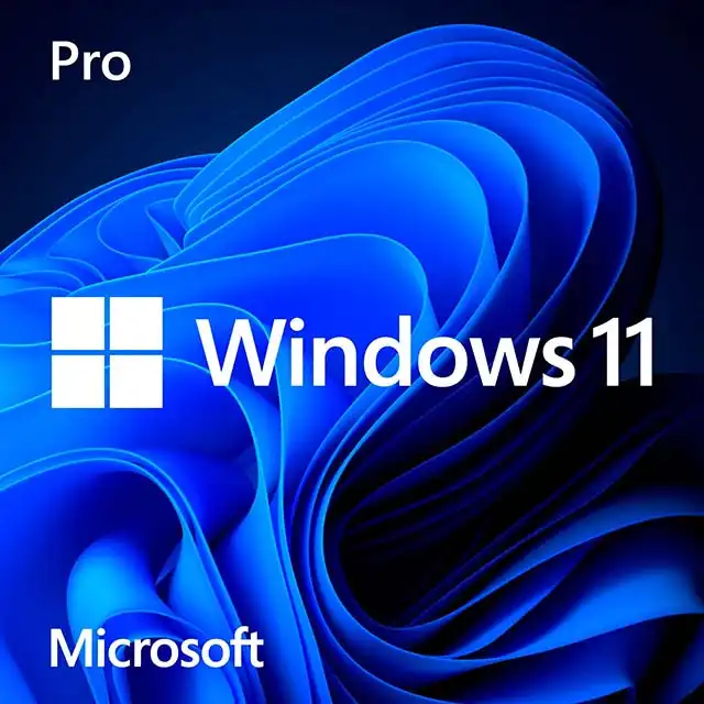 Windows 11 Pro FPP 64-bit Eng Intl Indonesia Only USB (HAV-00165)