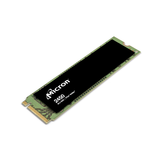 Micron-2450-1
