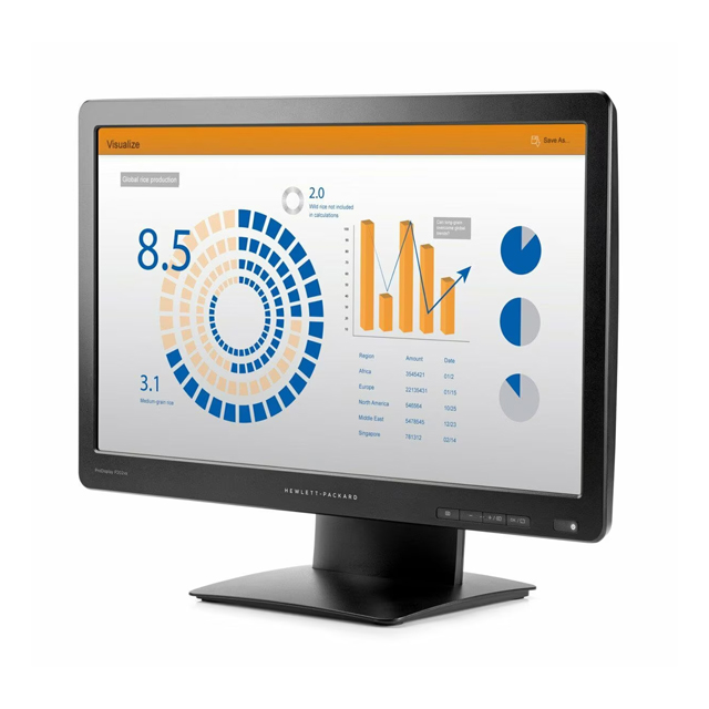 ProDisplay-P202va-3