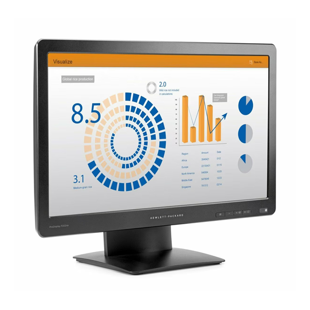 ProDisplay-P202va-4