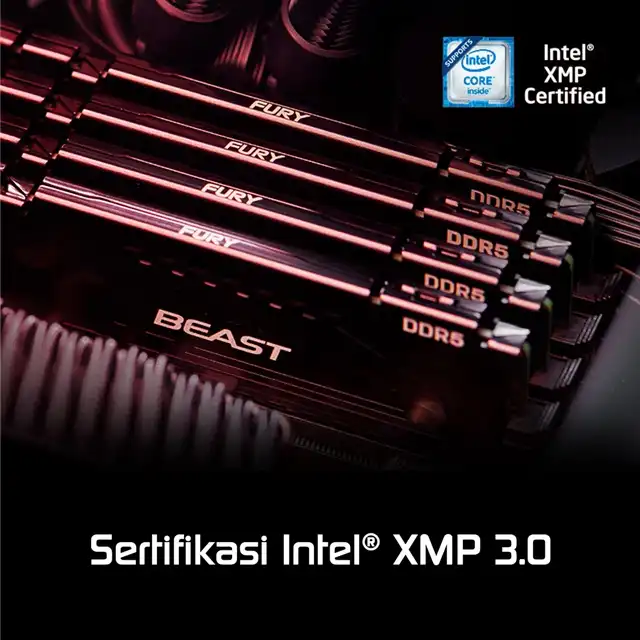 Kingston Memory DDR5 5200MHz Fury Beast CL40 for PC - 16GB - kingston-memory-ddr5-5200mhz-fury-beast-cl40-for-pc-1759114123-741.webp