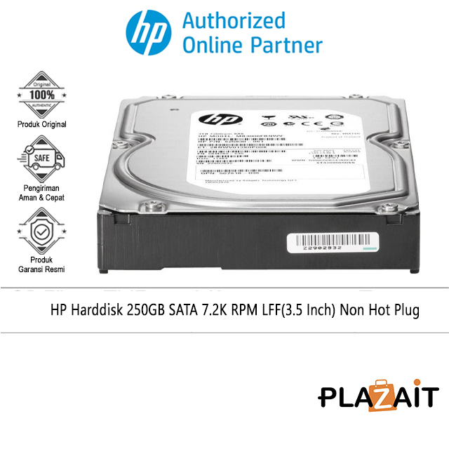Hp Harddisk 250GB SATA 7.2K RPM LFF(3.5 Inch) Non Hot Plug (571232-B21)